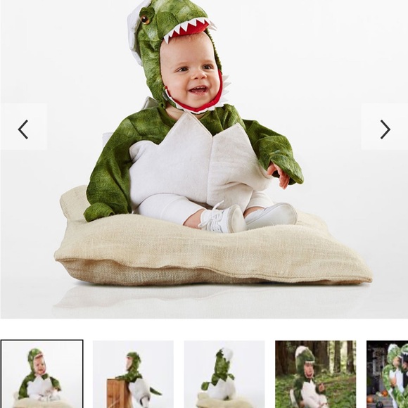 Adorable Green Dinosaur Baby Costume - Picture 1 of 3